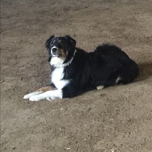 Meet your Posher, Gabby